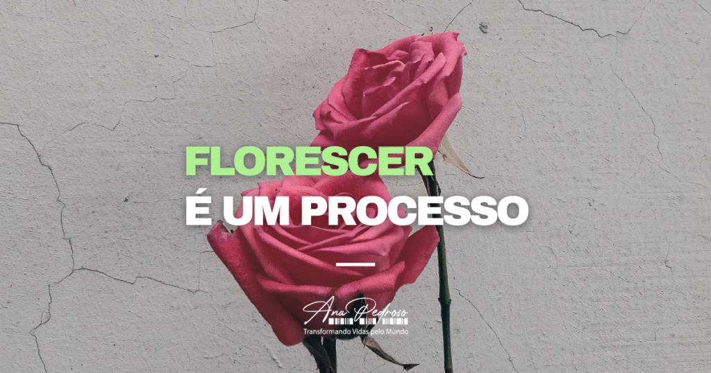 Florescer é um processo – Ana Pedroso