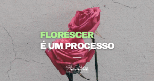 Florescer é um processo – Ana Pedroso